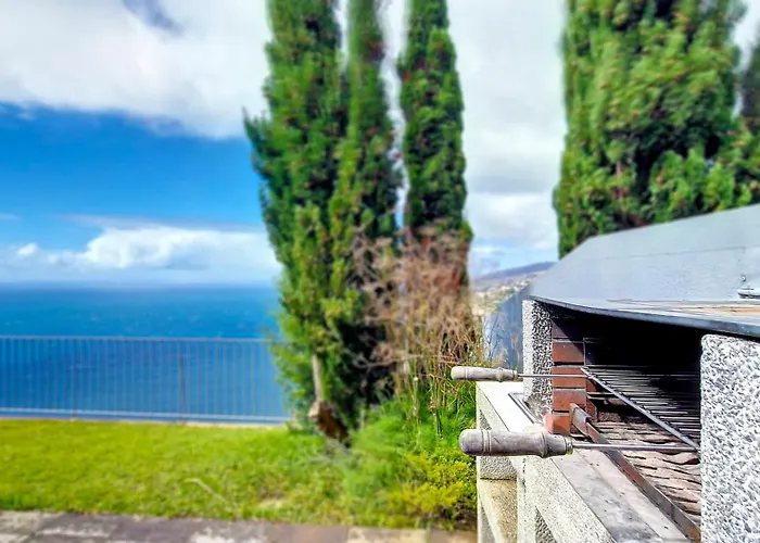 Blue Marlin By Lovelystay